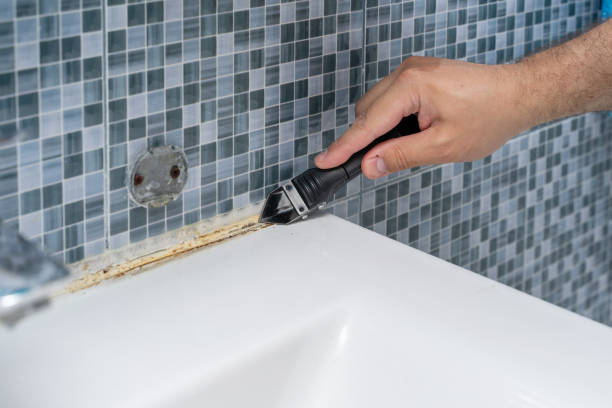 Best DIY Mold Remediation Support Services in Shields, MI